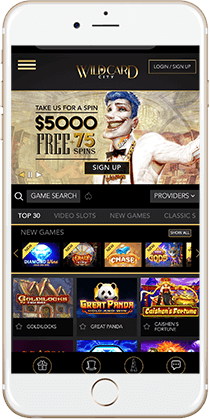 Portal on casino - important information