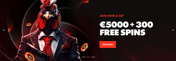 Rooster Bet Casino Promotions