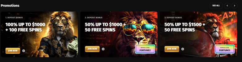 Fortune Play Promotions